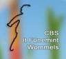CBS It Fûnemint logo